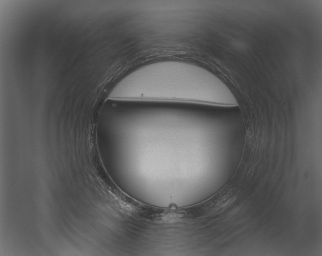 X0000052930462200507080831