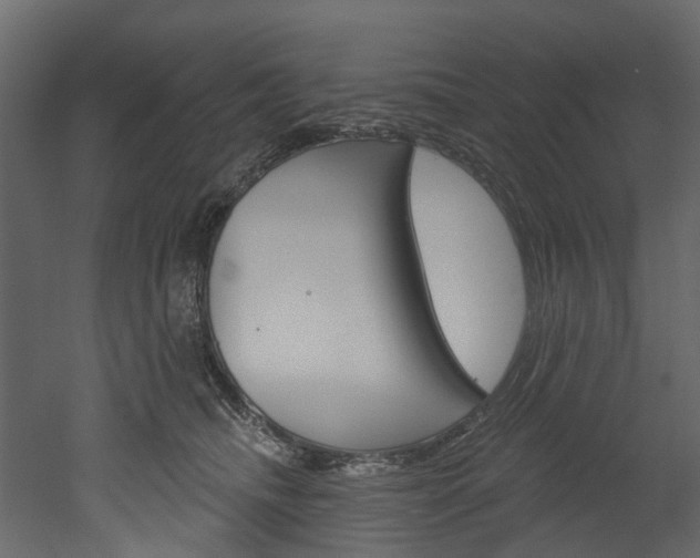 X0000052930468200507080831
