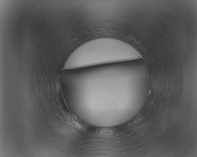 X0000052930471200507080831