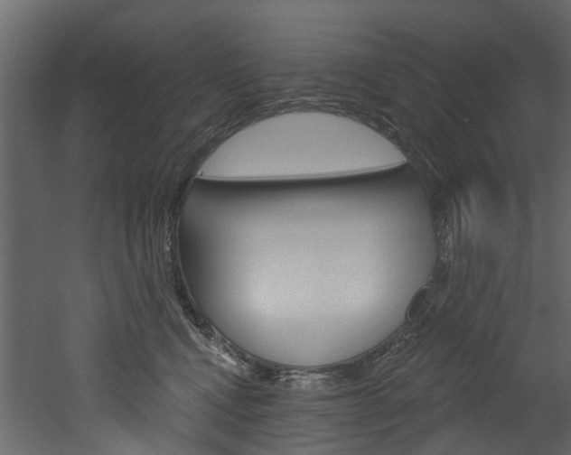 X0000052930472200507080831