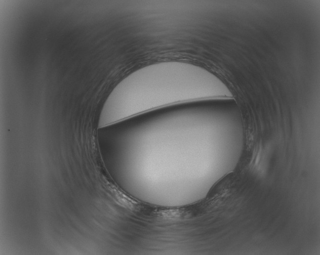 X0000052930473200507080831