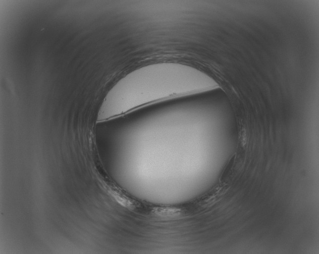 X0000052930476200507080831