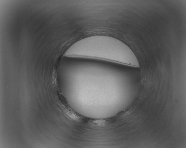 X0000052930478200507080831
