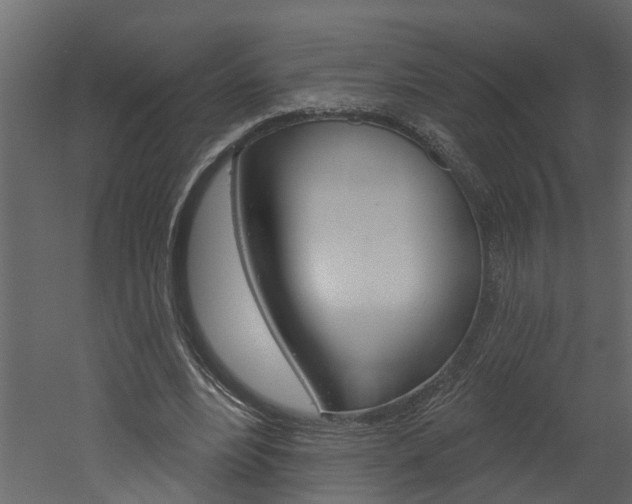 X0000052930488200507080831