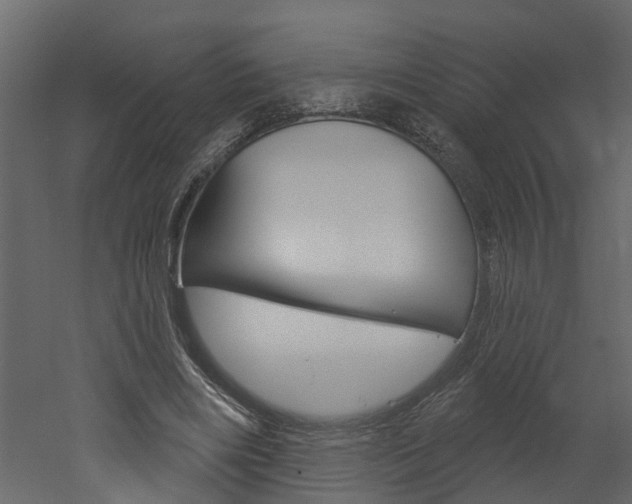 X0000052930490200507080831