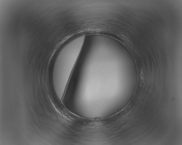 X0000052930492200507080830