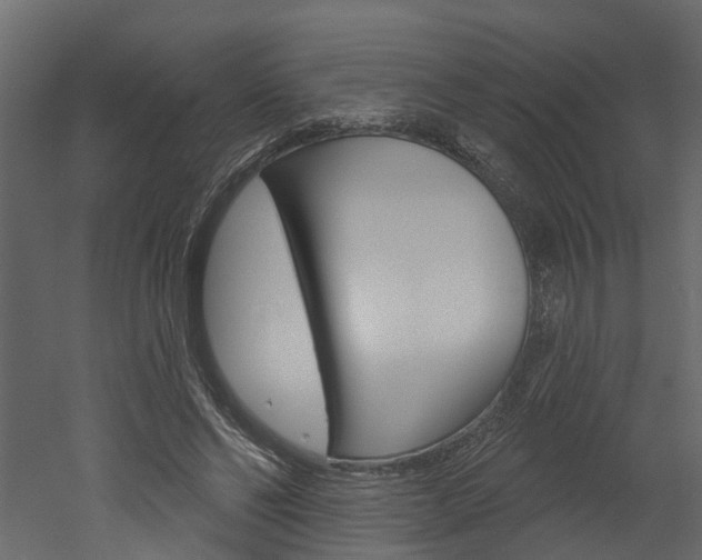 X0000052930494200507080830