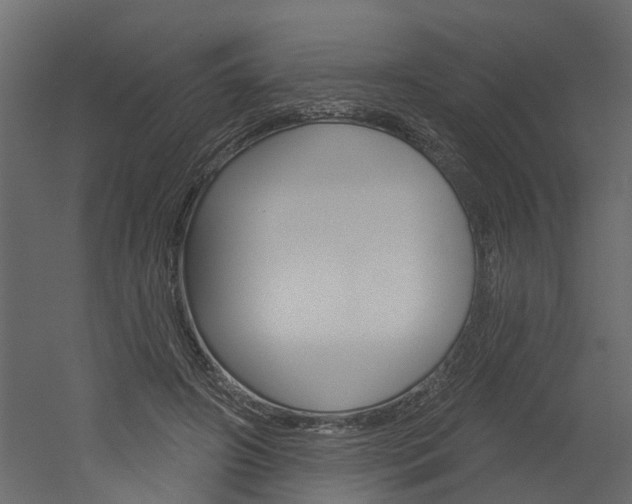 X0000052930498200507080830