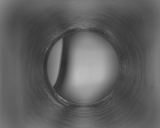 X0000052930500200507080830