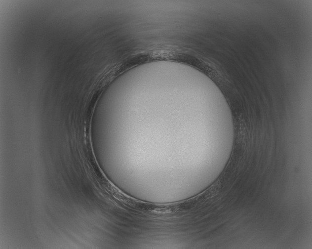 X0000052930502200507080830