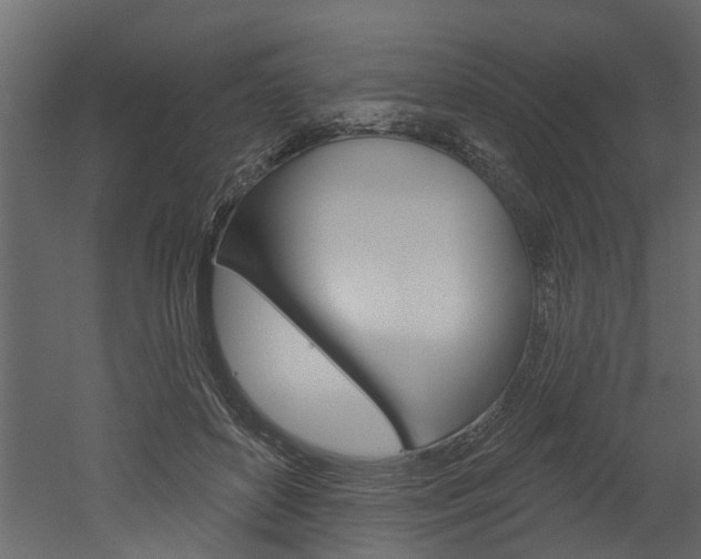 X0000052930504200507080830