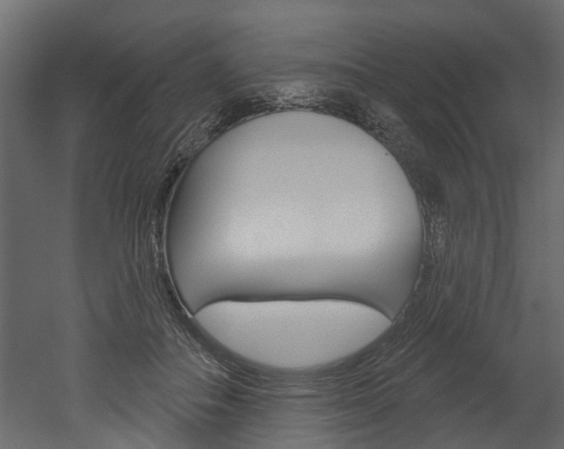 X0000052930506200507080830