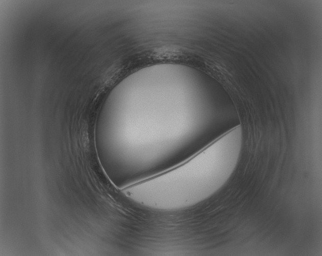 X0000052930508200507080830