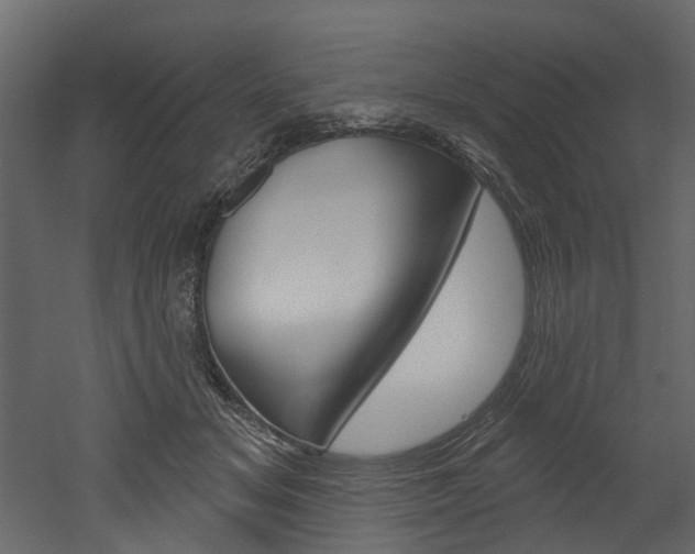 X0000052930509200507080830