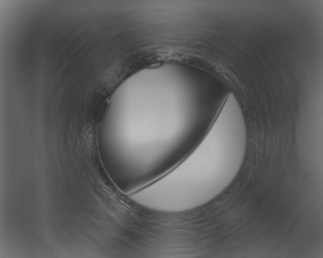 X0000052930513200507080830