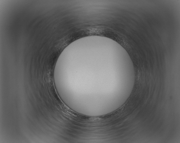 X0000052930514200507080830