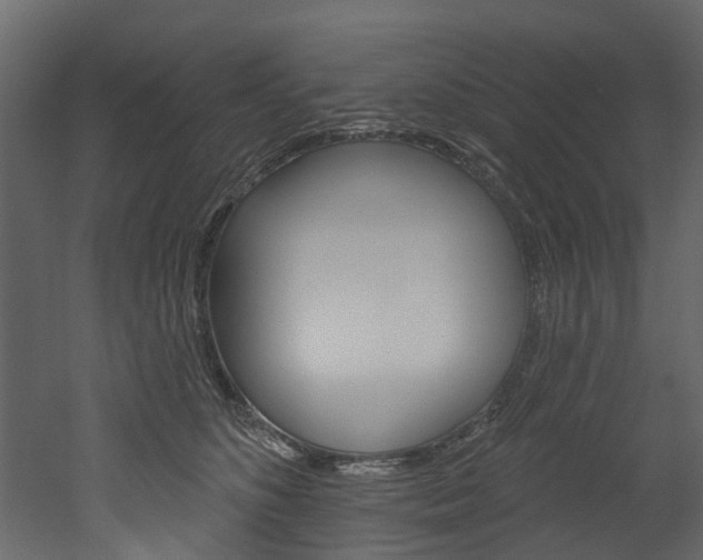 X0000052930516200507080830