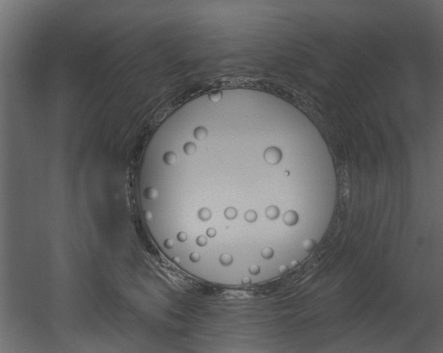 X0000052930519200507080830