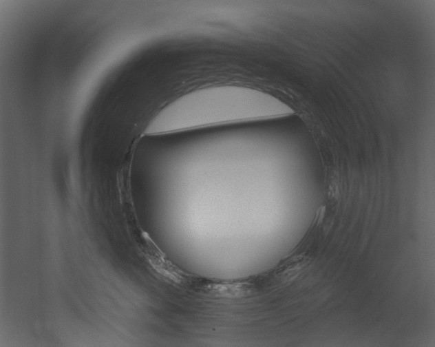 X0000052930524200507080830