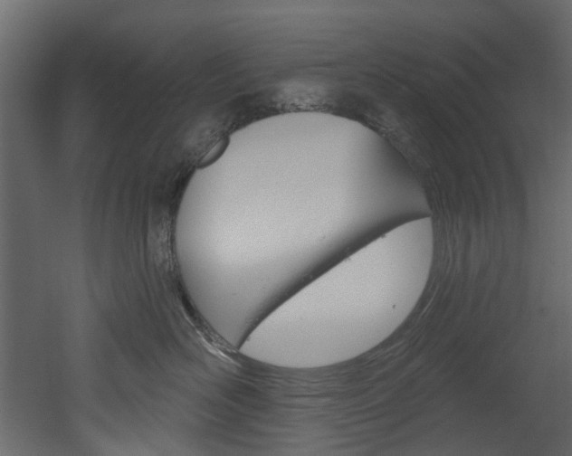 X0000052930526200507080830