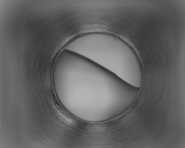X0000052930533200507080829