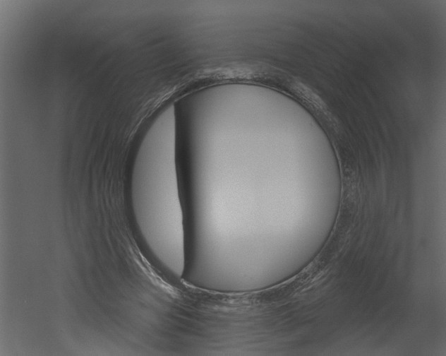 X0000052930537200507080829