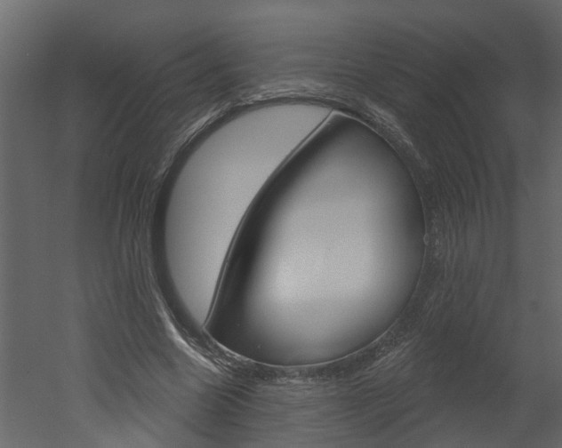 X0000052930538200507080829