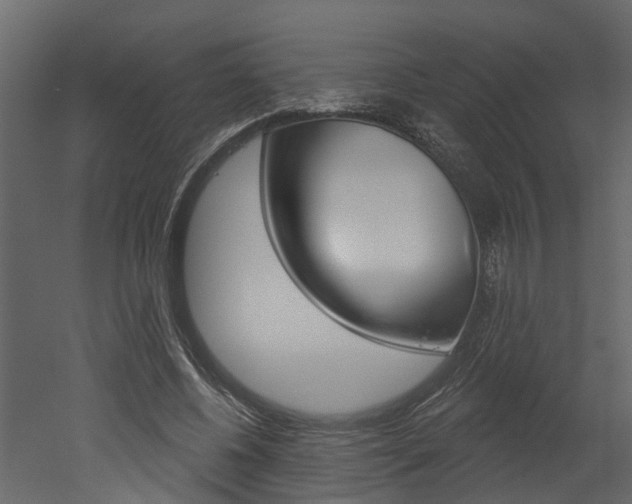 X0000052930540200507080829