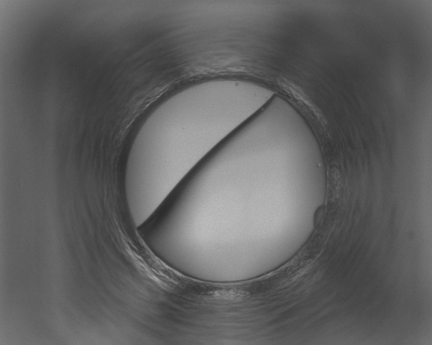 X0000052930541200507080829