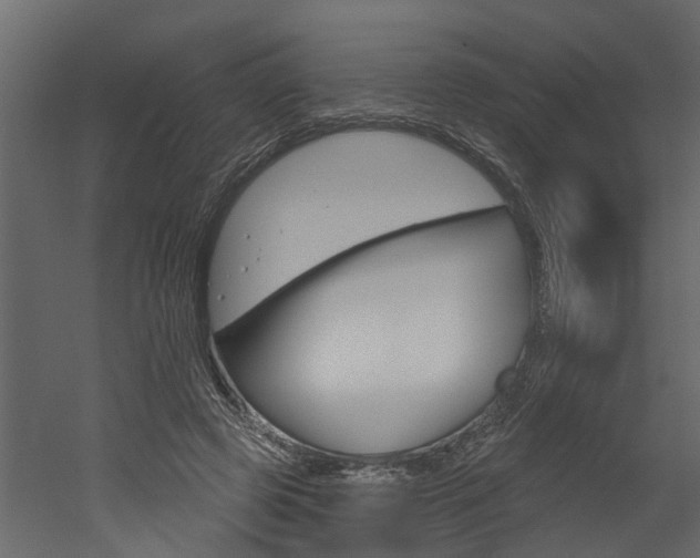 X0000052930545200507080829