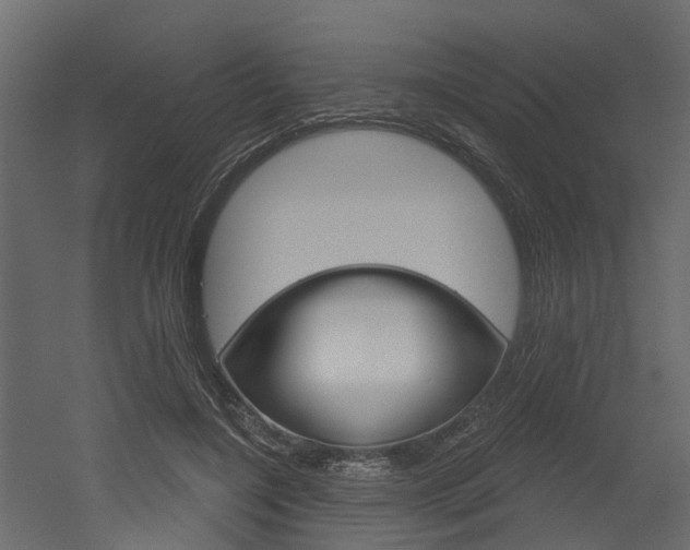 X0000052930548200507080829