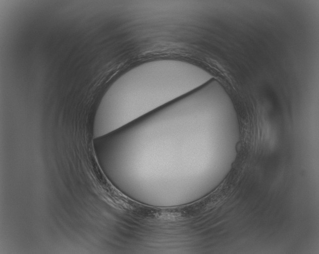 X0000052930549200507080829