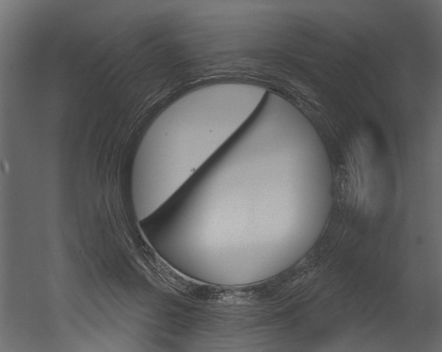 X0000052930550200507080829