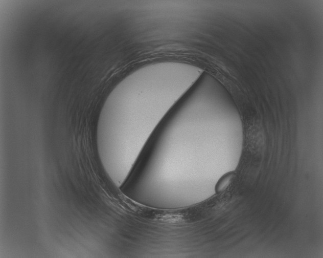 X0000052930554200507080829