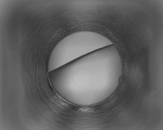 X0000052930557200507080830