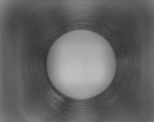 X0000052930562200507080830