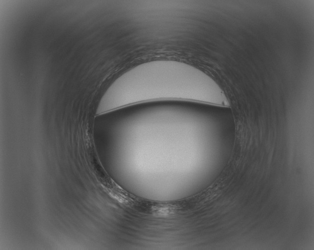 X0000052930564200507080830