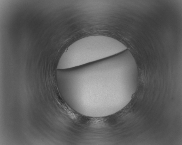 X0000052930569200507080830