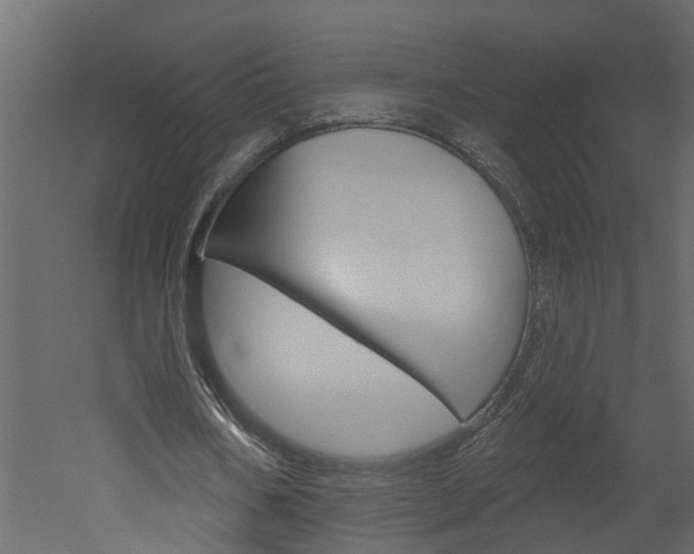 X0000052930578200507080829