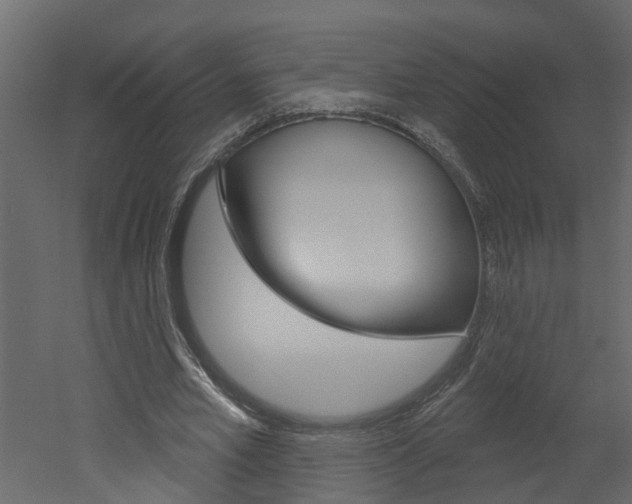 X0000052930581200507080829