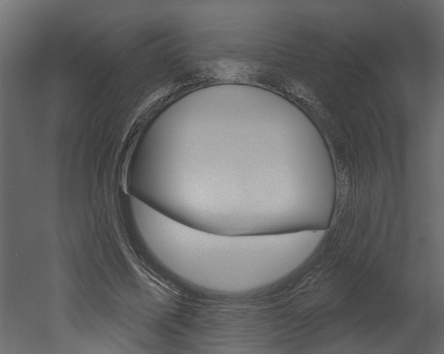 X0000052930587200507080829