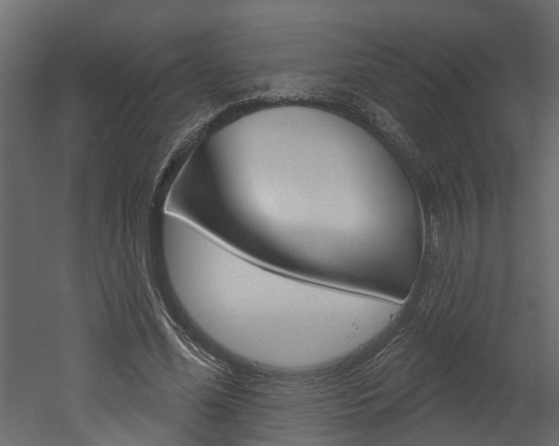 X0000052930588200507080829