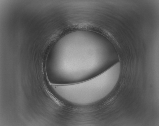 X0000052930589200507080829