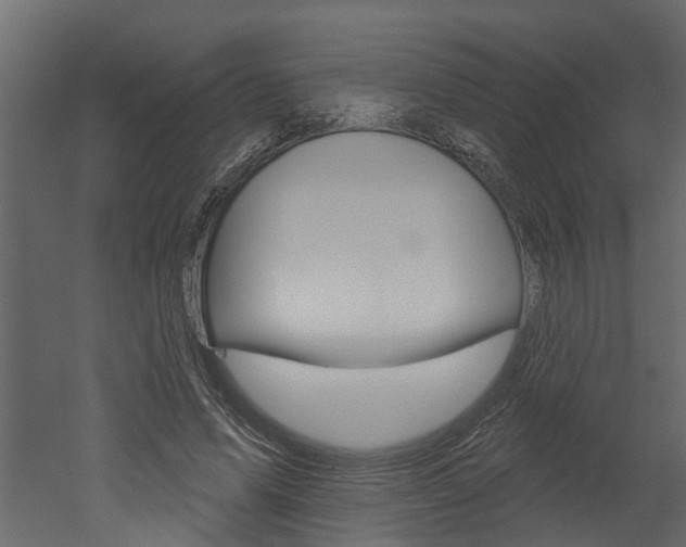 X0000052930591200507080829