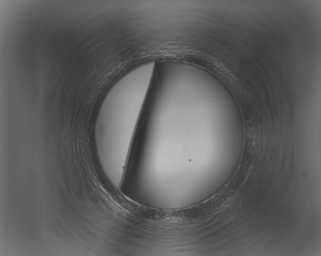 X0000052930593200507080829