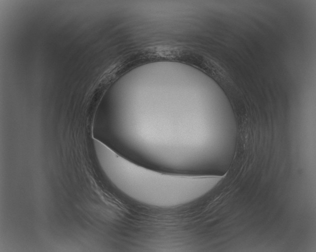 X0000052930595200507080829