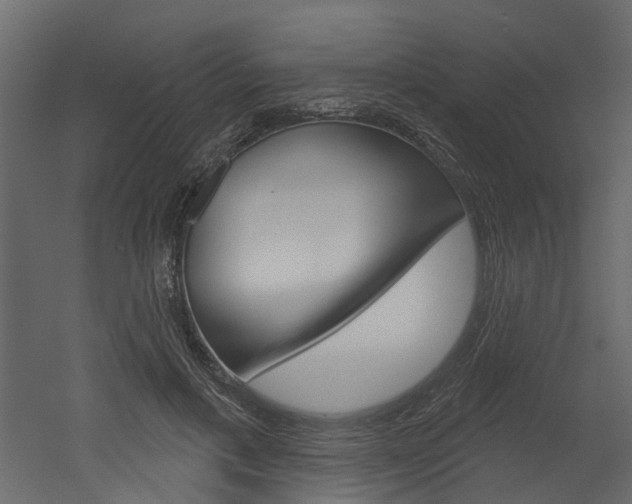 X0000052930597200507080829