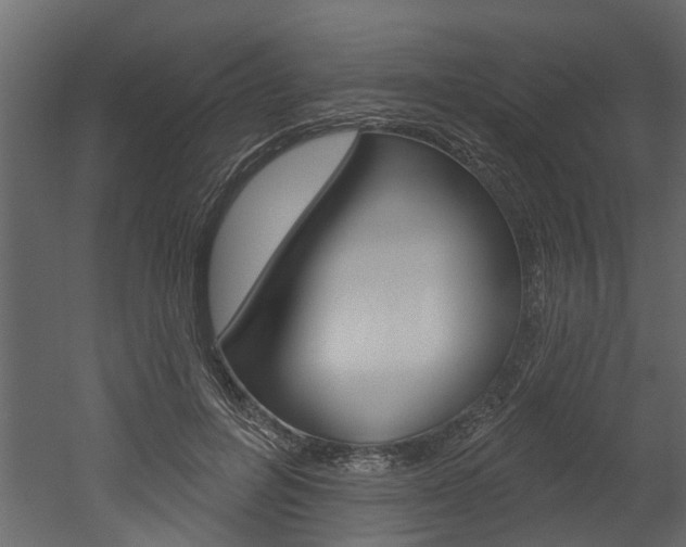 X0000052930600200507080829