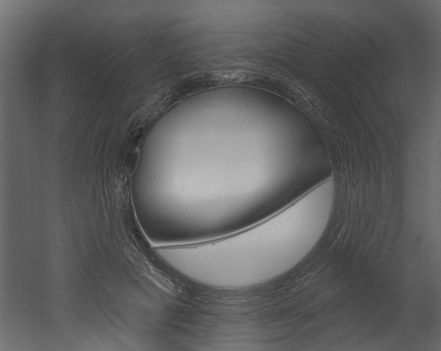X0000052930601200507080829