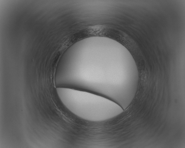 X0000052930602200507080829